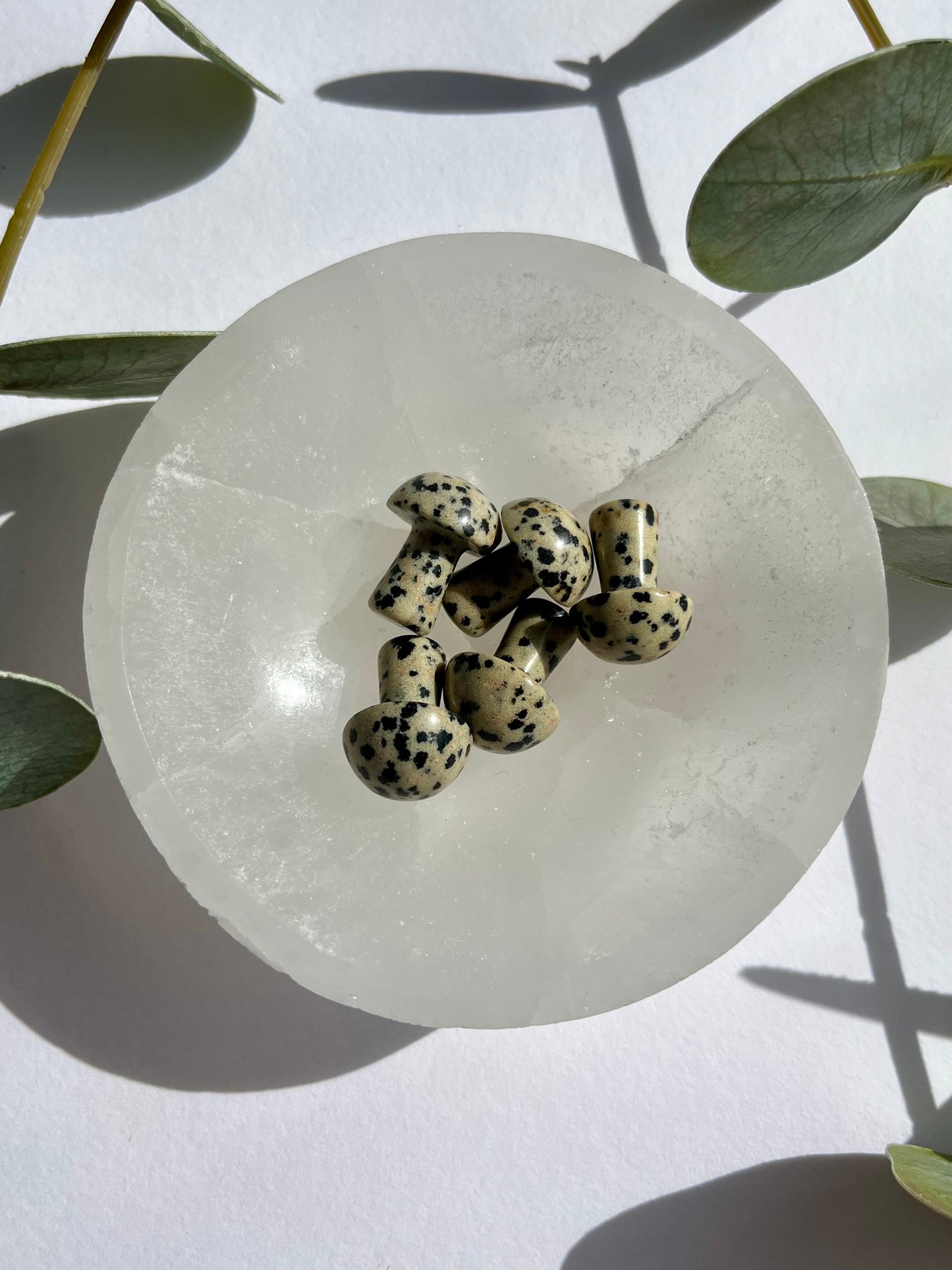 Dalmatian Jasper Mini Mushroom