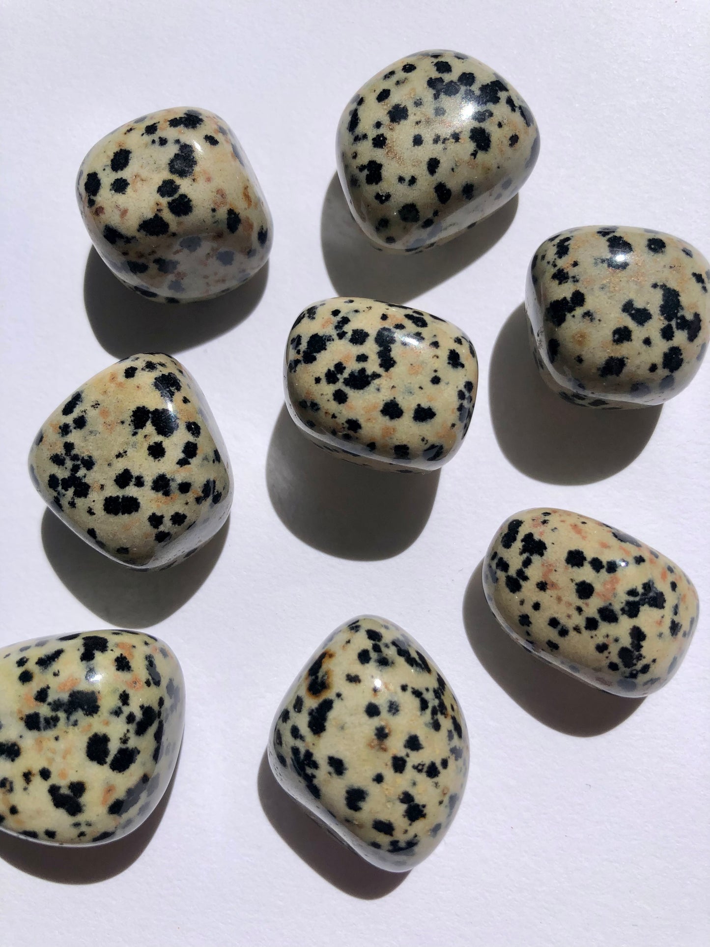 Dalmatian Jasper Tumbled Stone