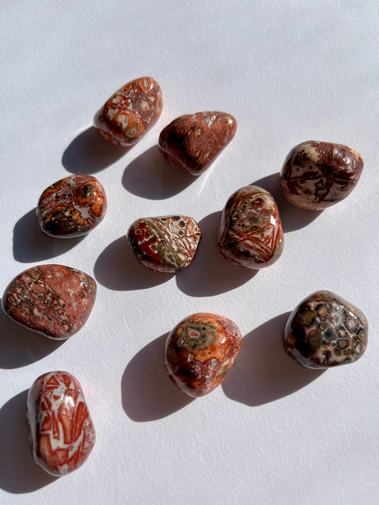 Leopard Skin Jasper Tumbled Stone