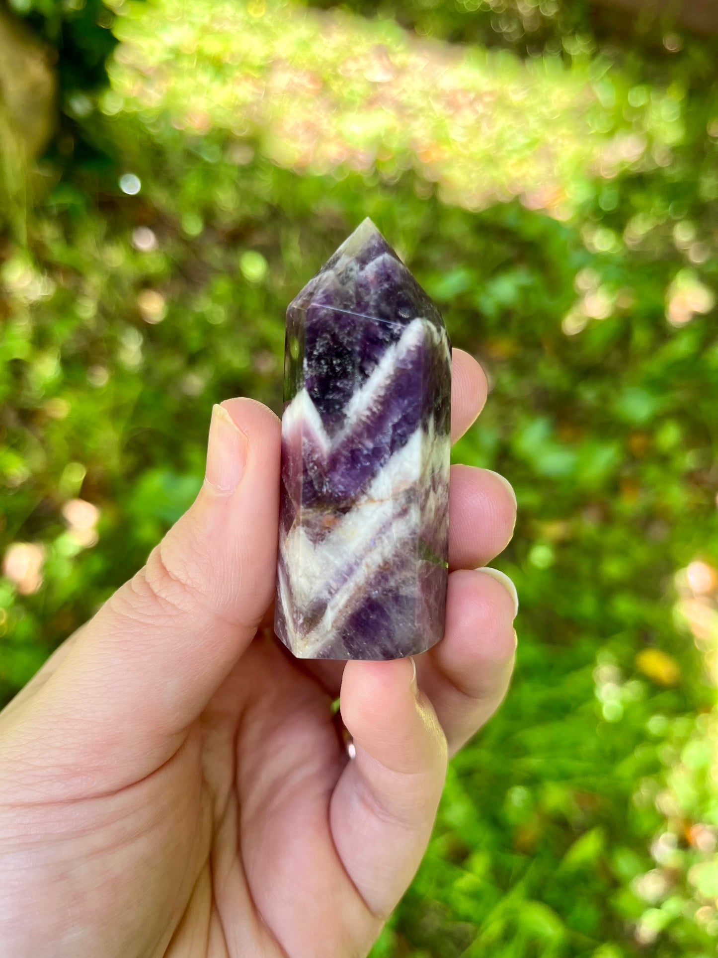 Chevron Amethyst Point