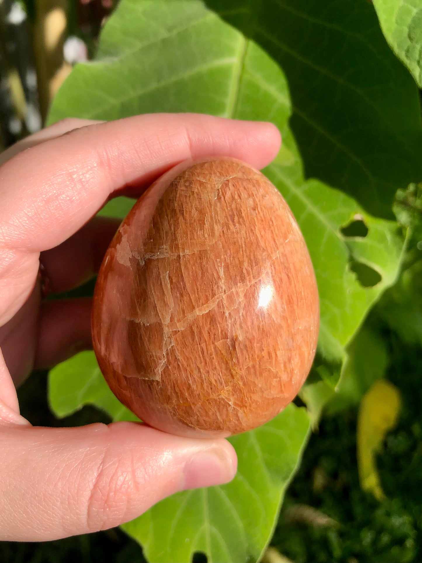 Peach Moonstone Egg #2