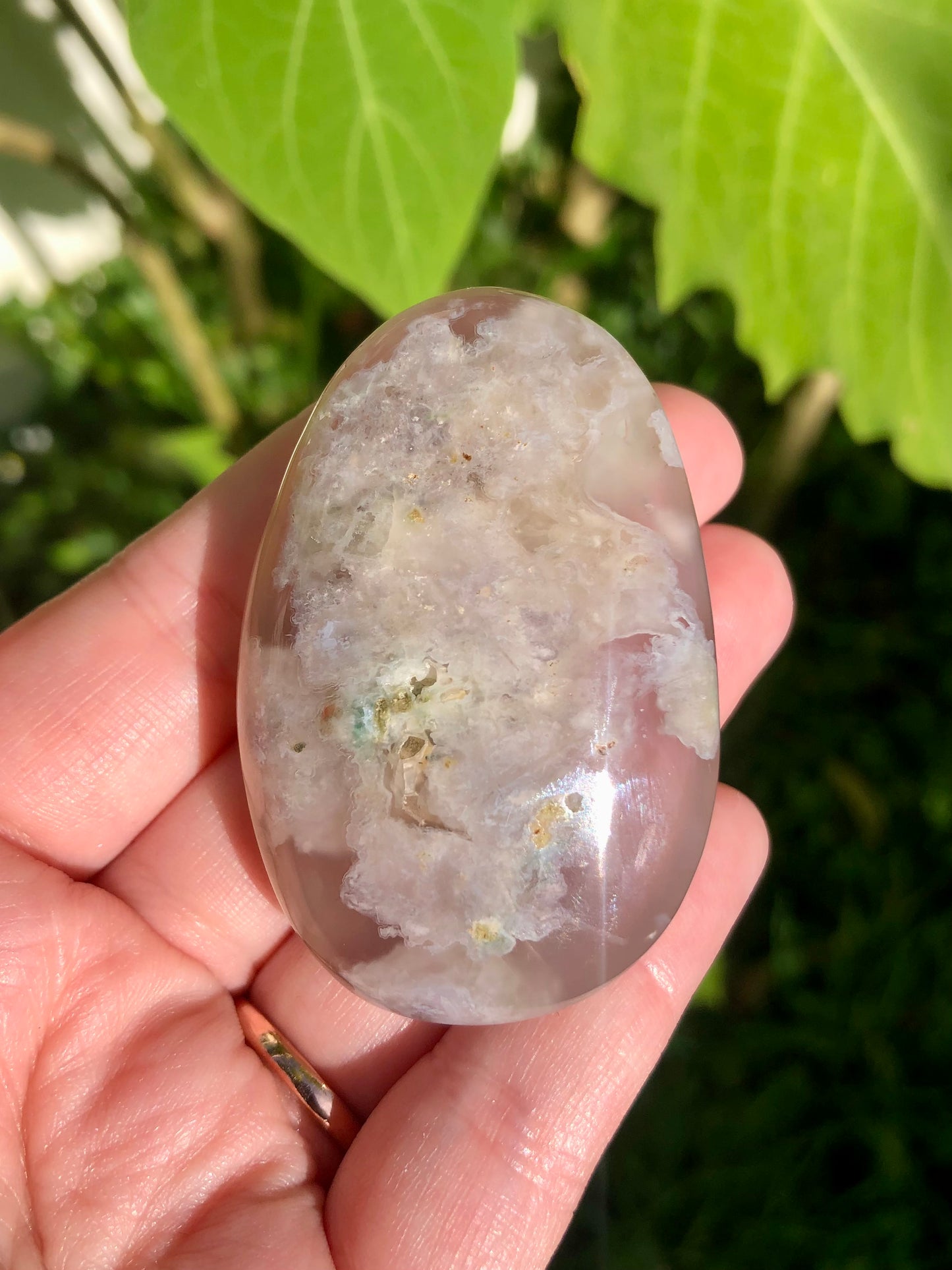 Flower Agate Palm Stone #2