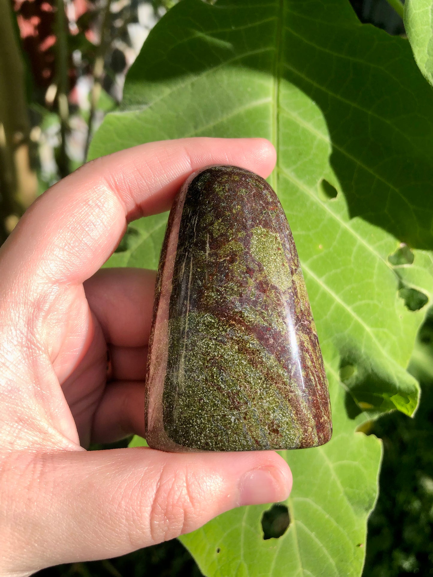 Dragons Blood Jasper Freeform