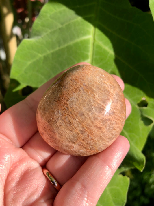 Peach Moonstone Puffy Palm Stone