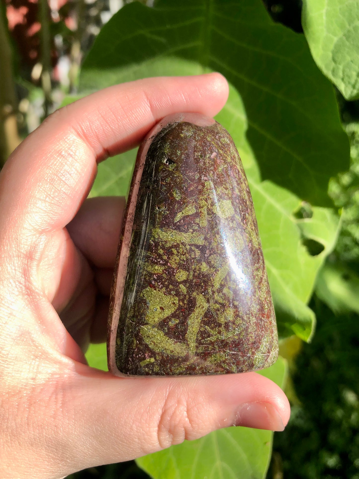 Dragons Blood Jasper Freeform