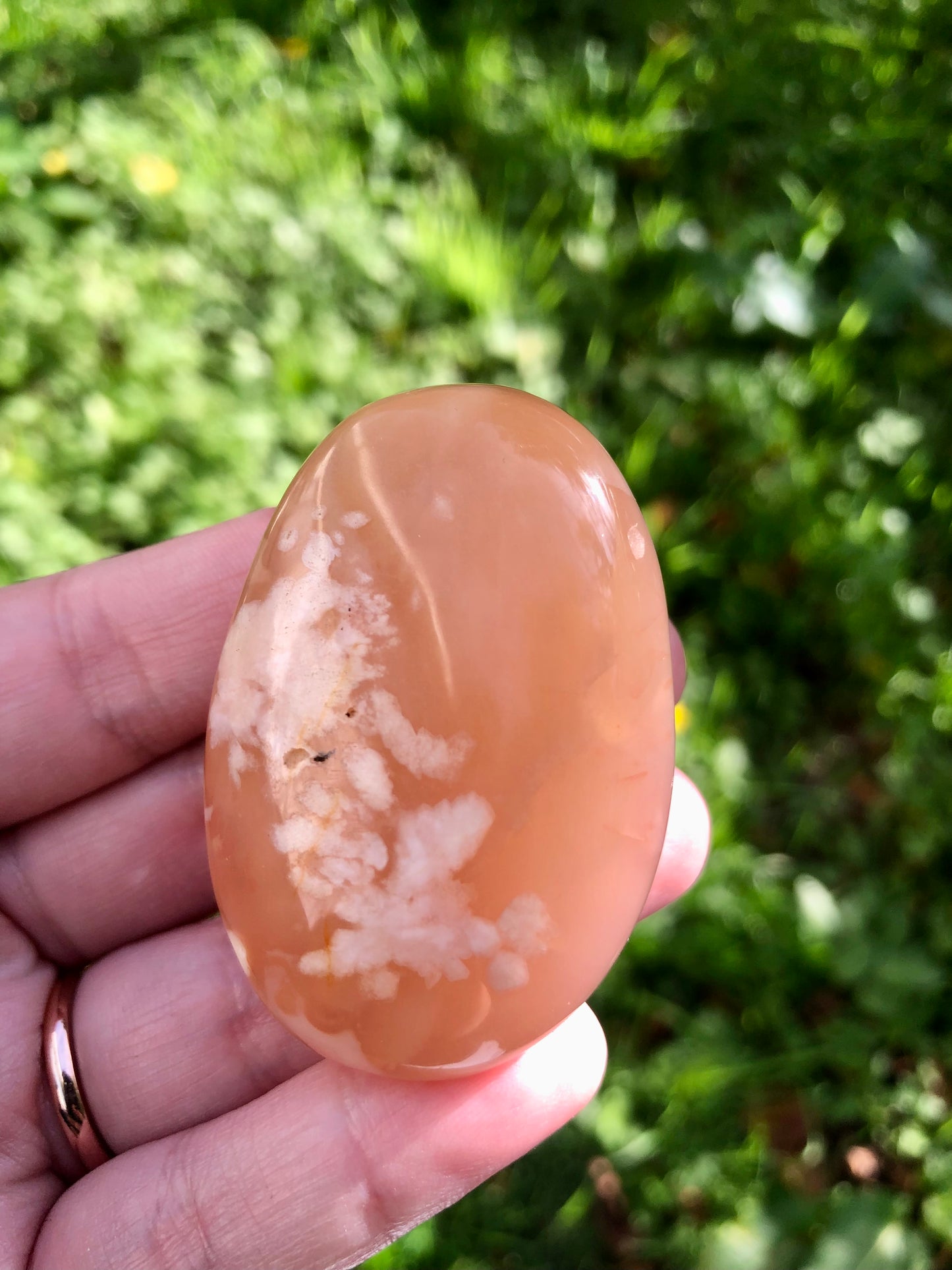 Flower Agate Palm Stone #1