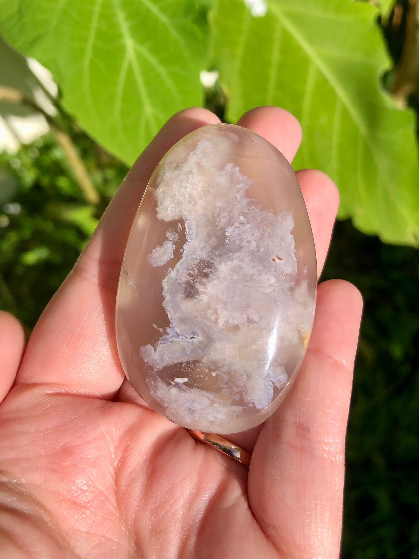 Flower Agate Palm Stone #2