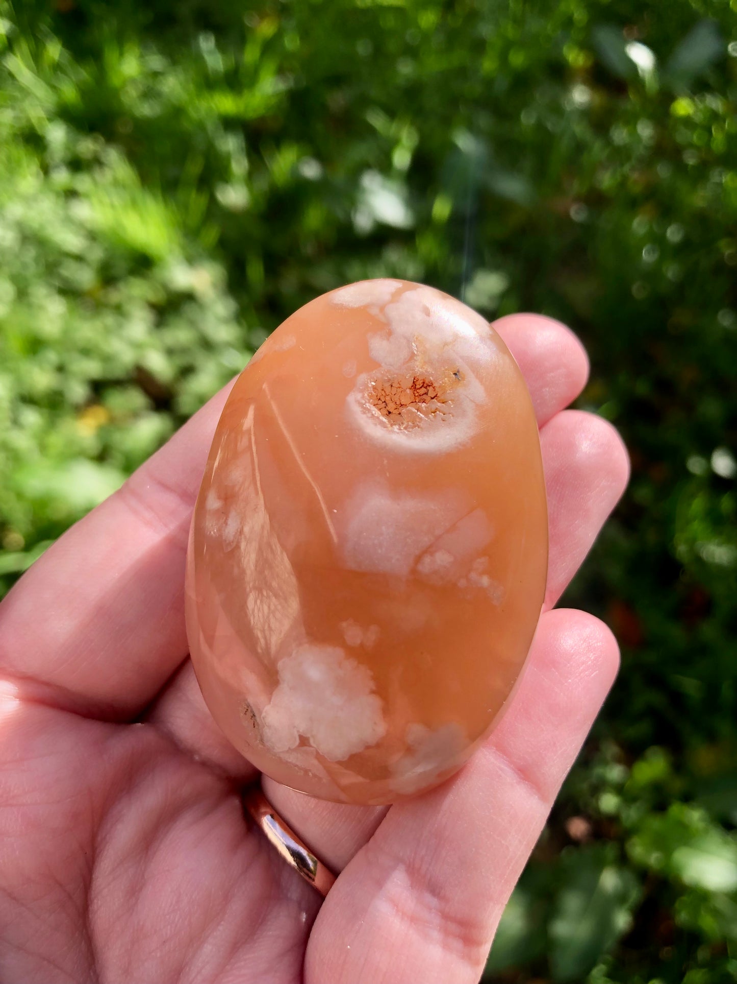 Flower Agate Palm Stone #1