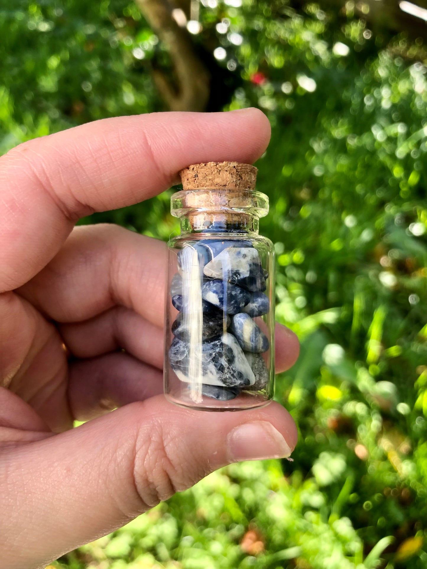 Sodalite Chip Bottle - Medium