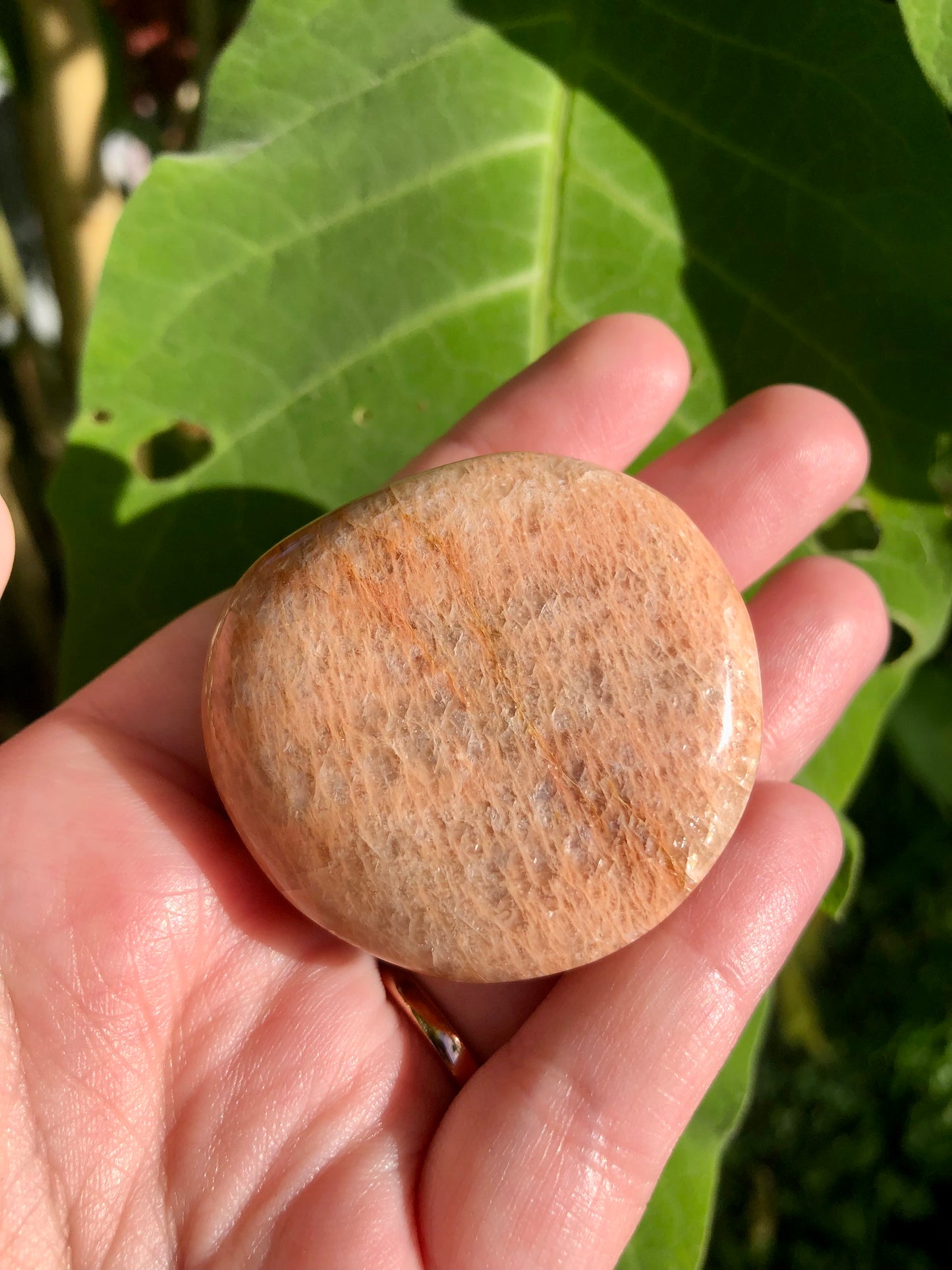 Peach Moonstone Puffy Palm Stone