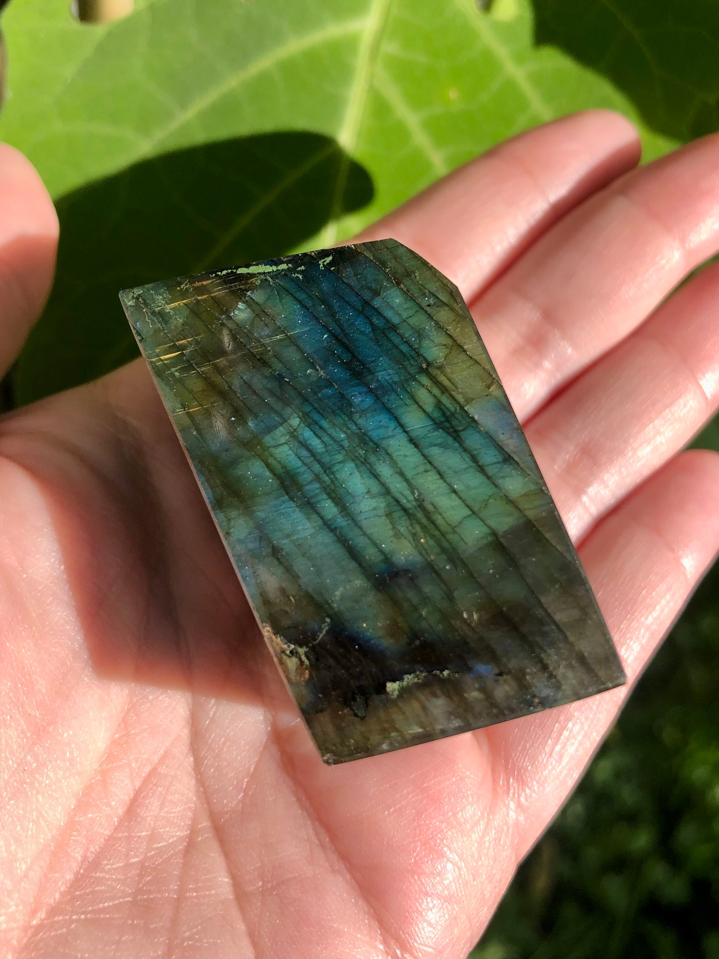 Rough Polished Labradorite Freeform