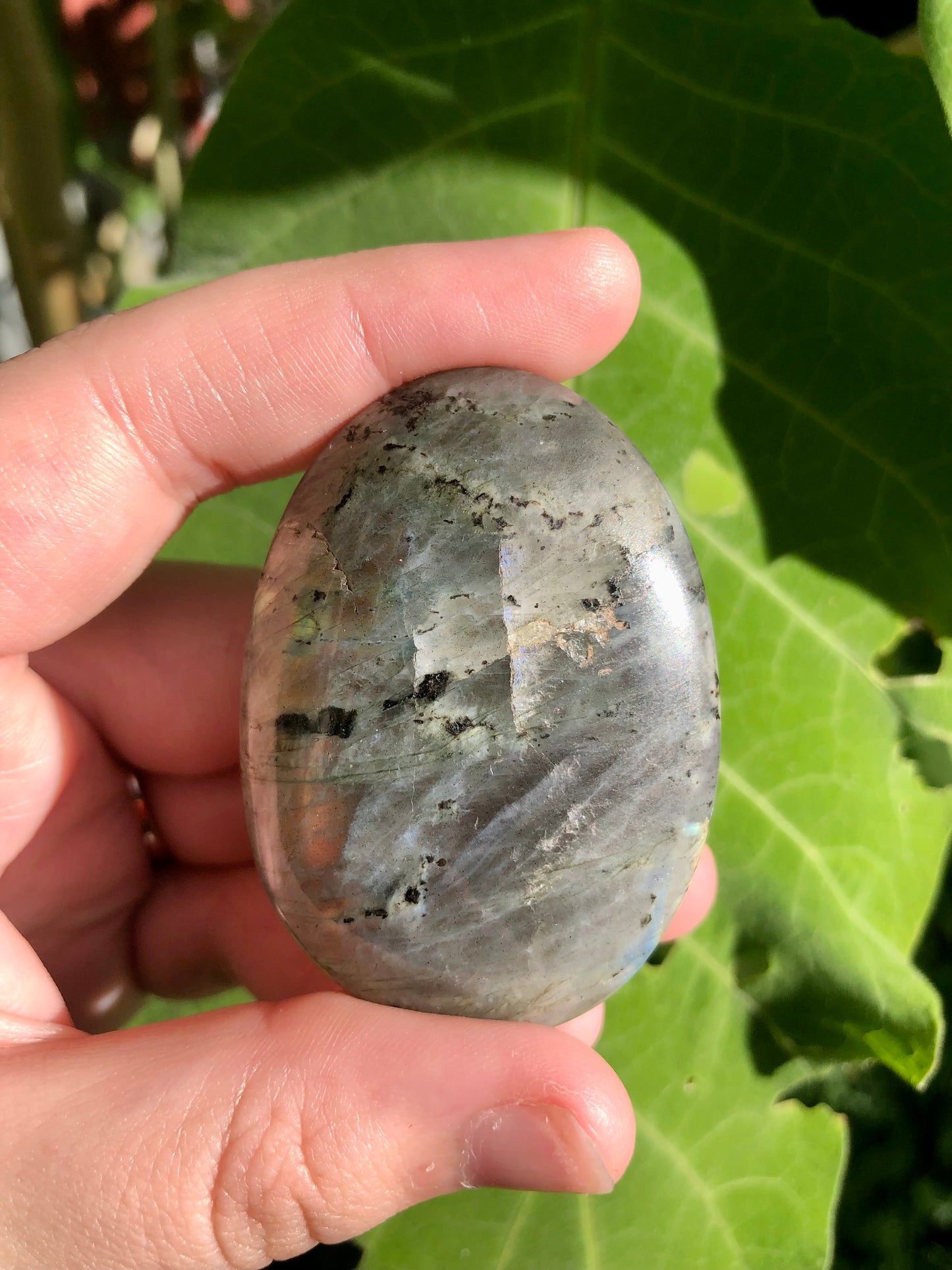 Rainbow Labradorite Palm Stone