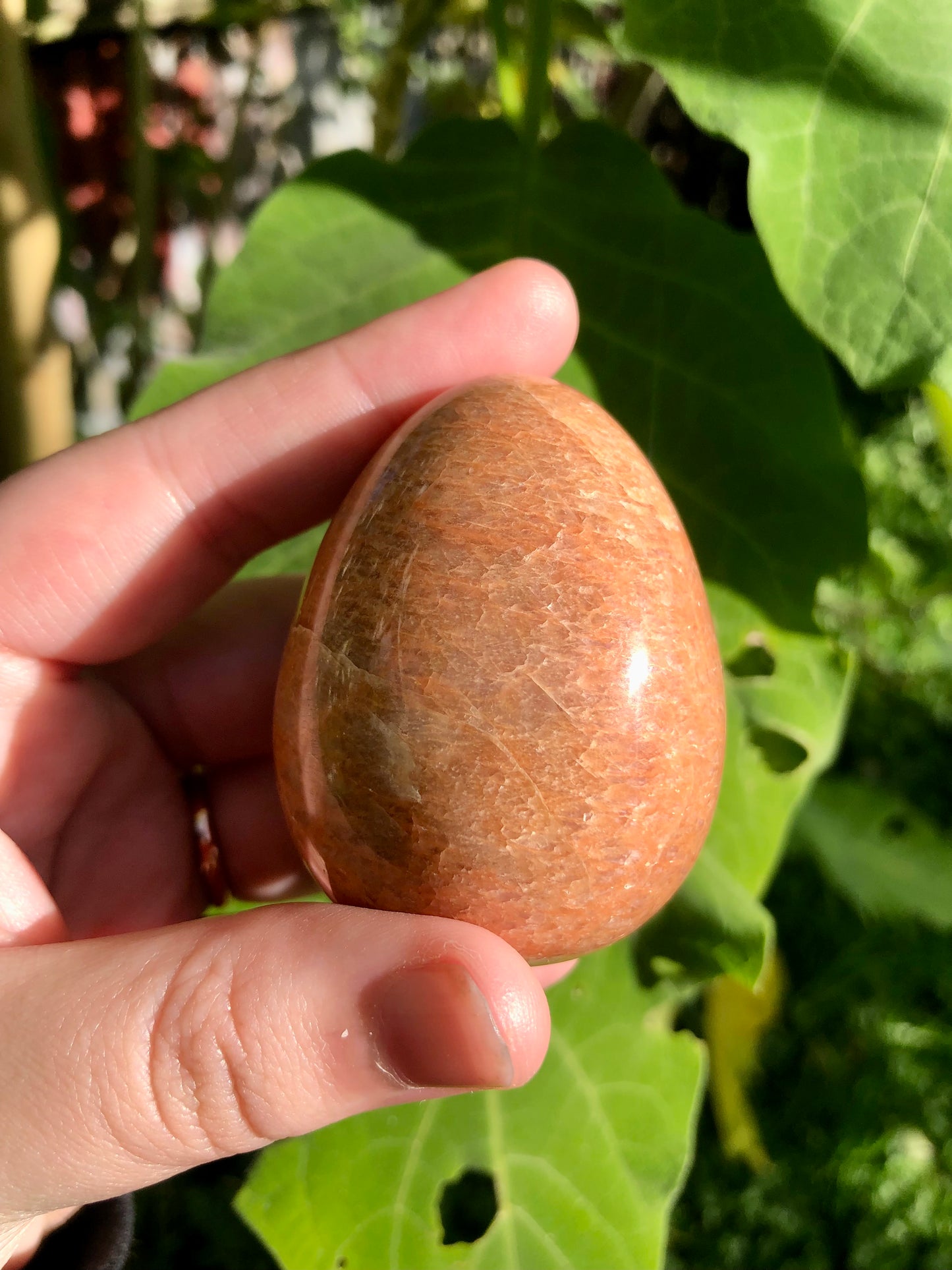 Peach Moonstone Egg #1