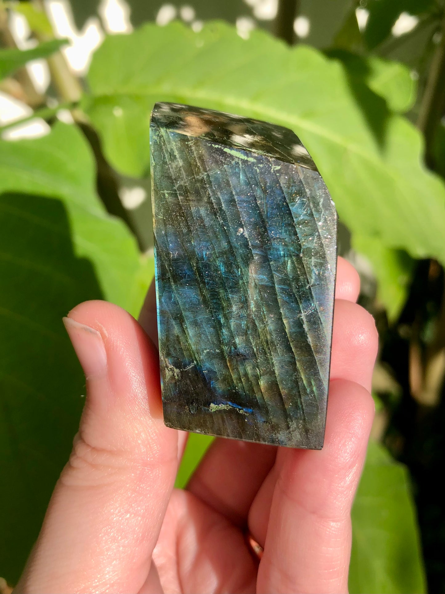 Rough Polished Labradorite Freeform