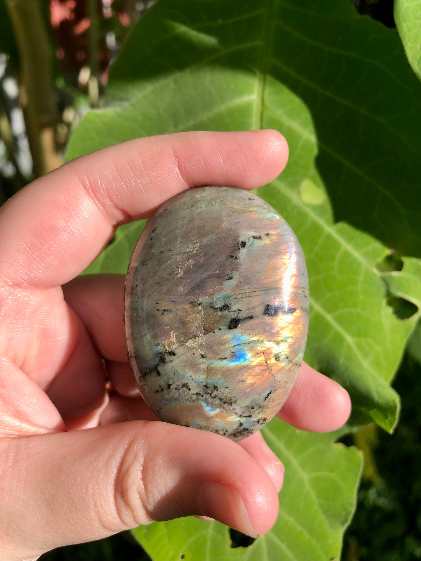 Rainbow Labradorite Palm Stone